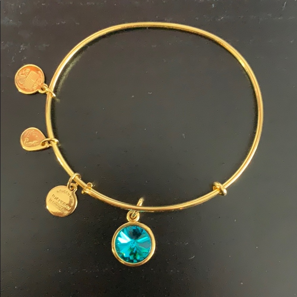 Alex and ani bracelet (December birth stone)